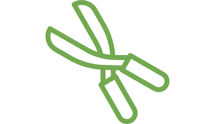 Poda de árboles