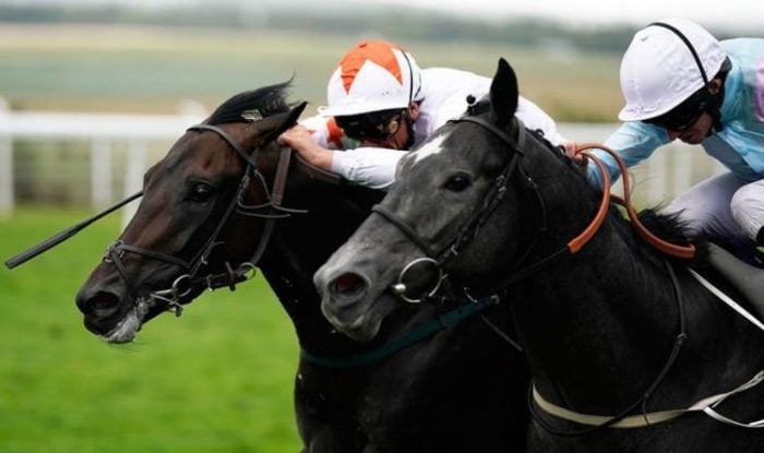 Horse racing tips TODAY: Horses you must back at Sandown, Redcar and Leicester | Racing | Sport