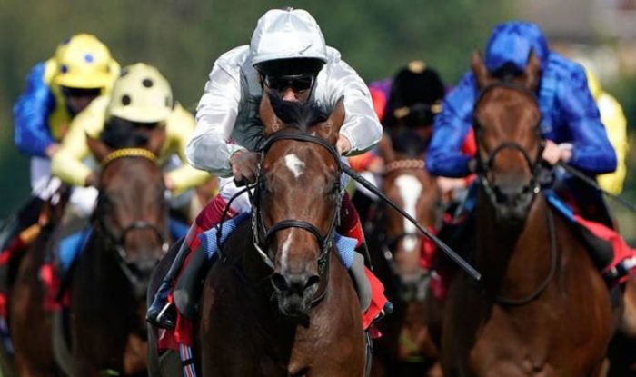 Horse racing tips TODAY: Horses you must back at Chester, Lingfield and Chelmsford | Racing | Sport