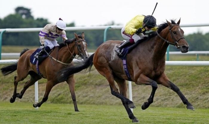 Market Movers Horse Racing Tips
