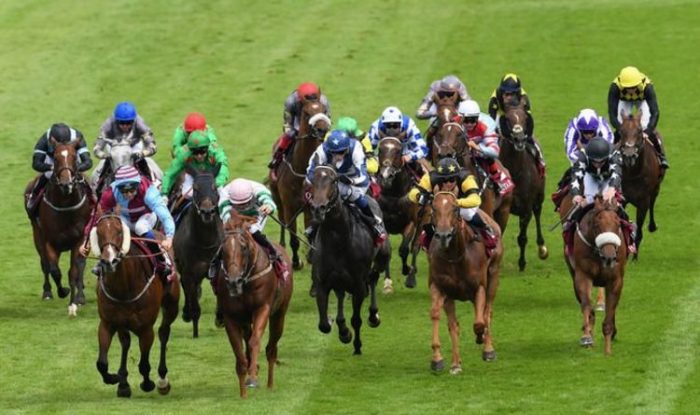 Horse racing tips today: Horses you must back at Goodwood, Newmarket, Chelmsford, Windsor | Racing | Sport