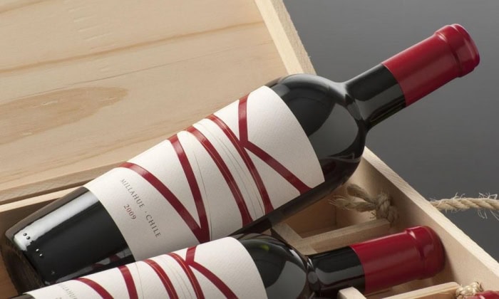 The striking design of Vik bottles catches the eye