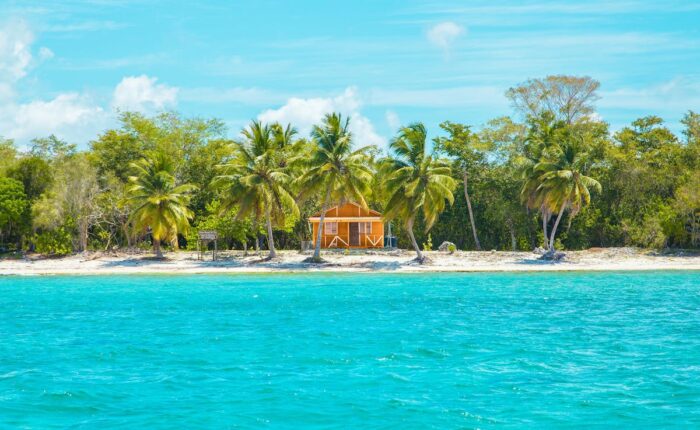 Kleines Holzhaus an einem tropischen Strand, umgeben von Palmen und grünem Dschungel, mit türkisblauem Meer im Vordergrund.