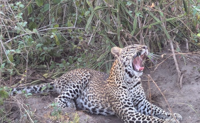Group Trips African Safaris and Adventures