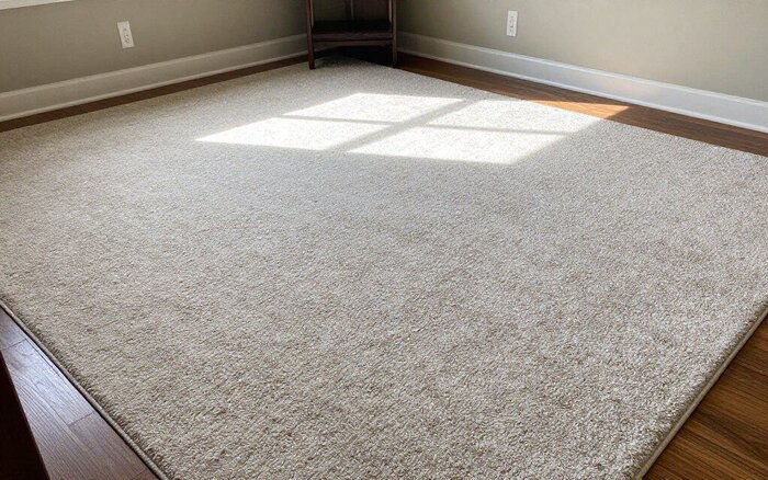Freshly cleaned beige carpet in Lake Geneva living room with sunlight.