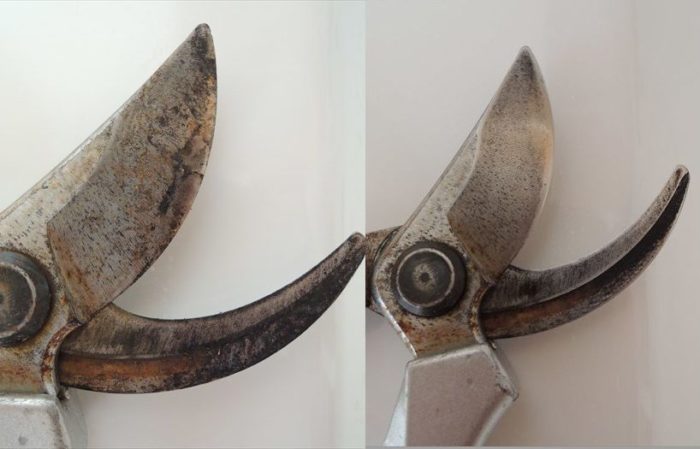 剪定バサミ研いだ前と研いだ後1
