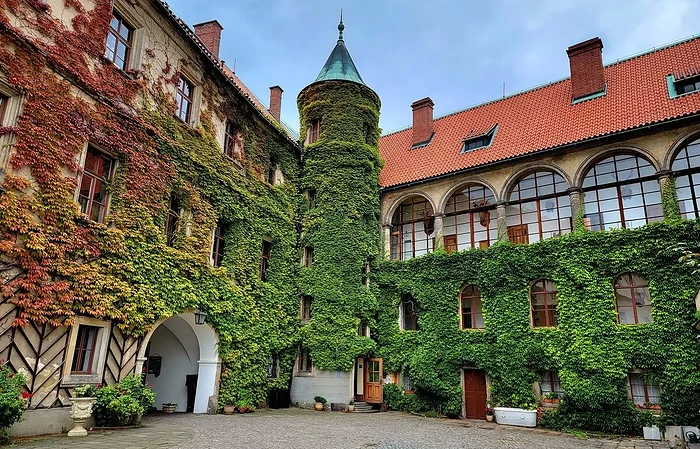 Hruba Skala Ivy