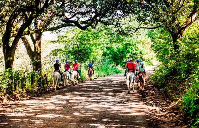 Horseback riding to Oropendula