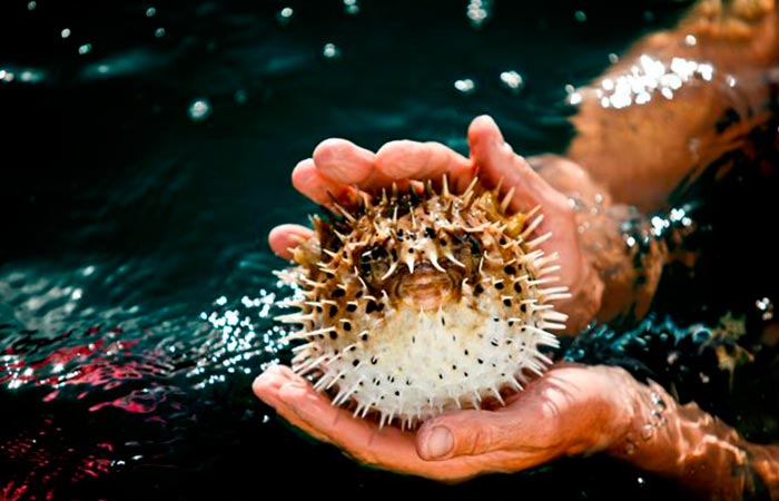 Tourists enjoying the ultimate One Day Adventure Pass at Hacienda Guachipelin in Guanacaste, Costa Rica.