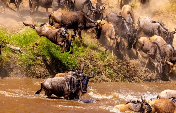 visit-tanzania