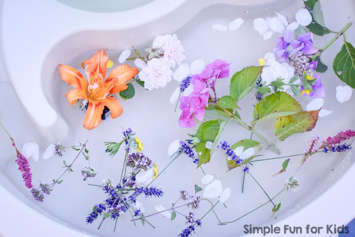 sensory bin with sunflowers