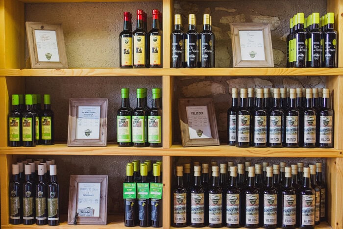 Olive oil factory in Italy