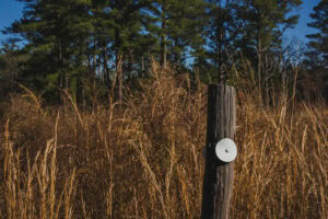 day trip to Carvers Creek