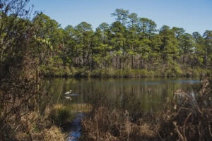 Reservoir Park in Southern Pines