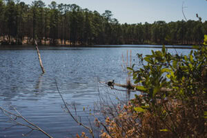 Reservoir Park in Southern Pines