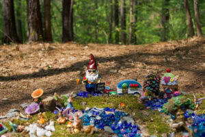 Easy hikes in Fayetteville