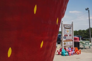 the worlds largest strawberry building