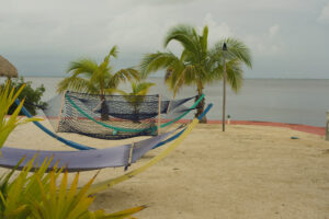 If you're looking for the best resort in Key Largo, this is it. Find out why in this detailed review of the Key Largo Bay Marriott Beach Resort.