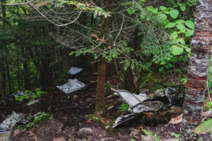 Waterrock Knob plane crash