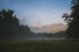 How to spend a weekend in Maggie Valley