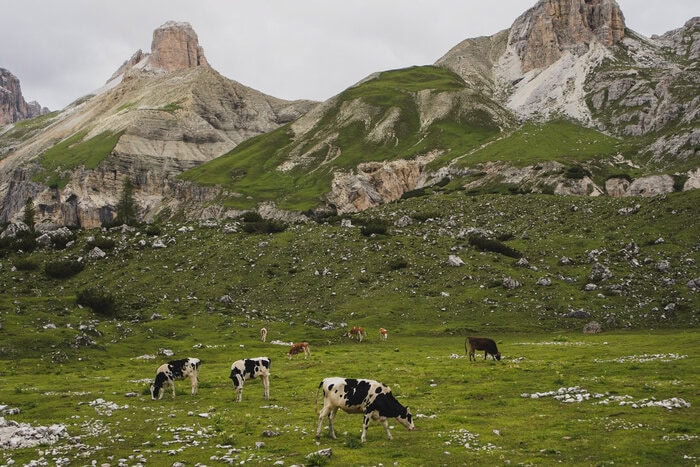 how to make the most of where you live