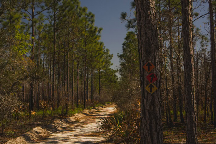 point Washington state forest eastern lake trail