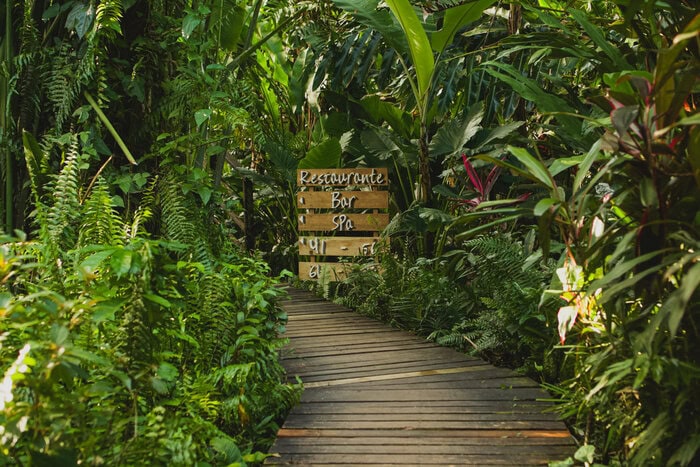 best hotel in Puerto Viejo for solo travelers