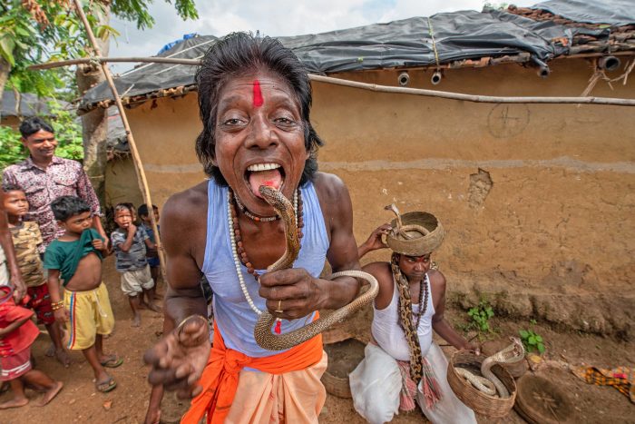 Jhapan snake festival