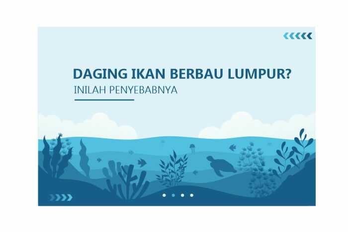 ikan budidaya bau lumpur