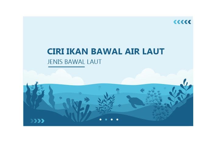 ikan bawal air laut