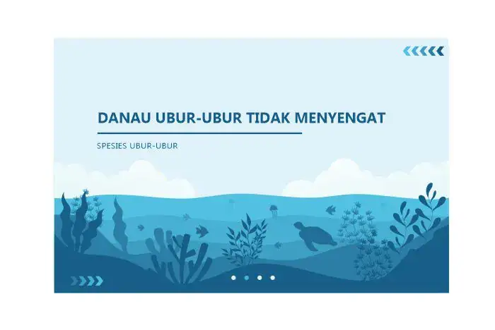 danau ubur ubur indonesia