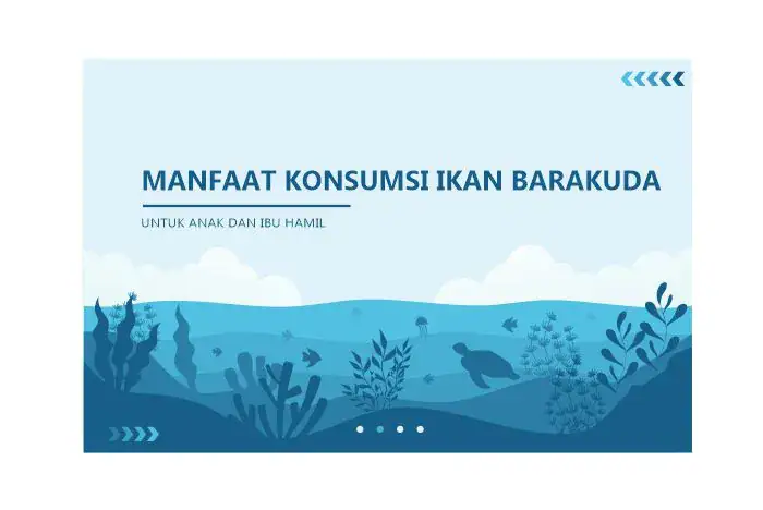 protein kalori ikan barakuda