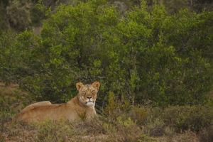 Travel photography tips for beginners