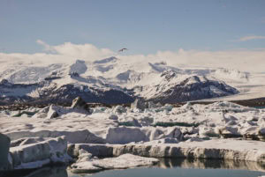 The rugged beauty of Iceland
