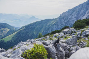 visiting Hitler's Eagle's Nest without a tour