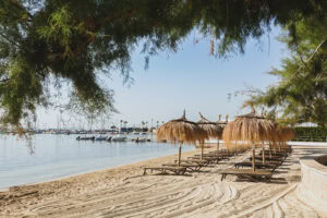 Best camera for traveling