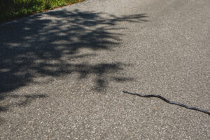 How To Hike To Brent De L'Art