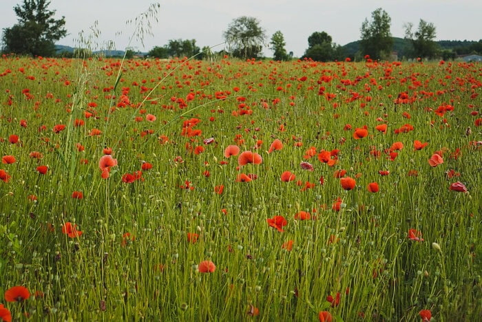 how to make the most of where you live