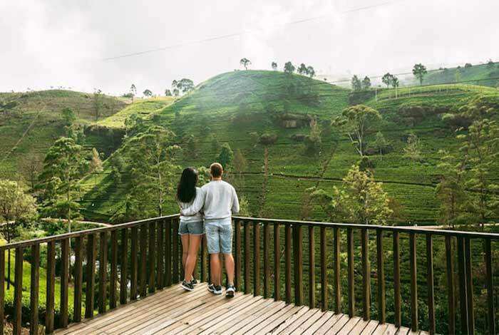 honeymoon packages in ooty from mysore