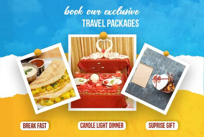 honeymoon packages from mysore to ooty