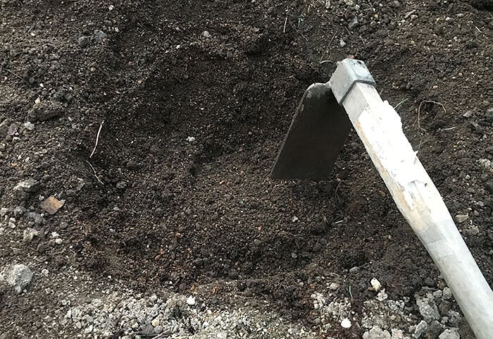 植え穴に入れた肥料と堆肥と土を混ぜる1