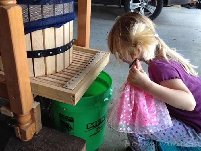 ASimpleHomestead.com - cider press