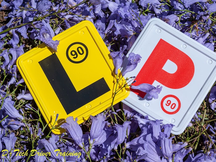 L-plate and P-plate resting artistically together on a blanket of fallen violet flowers