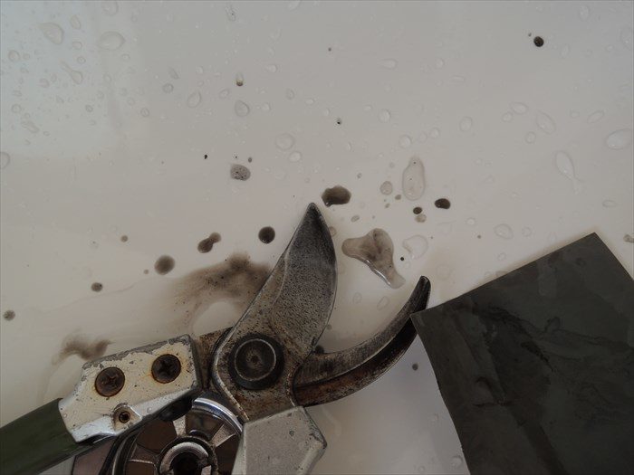 磨くと黒い水が出る