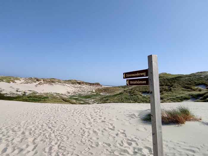 Dünenwanderweg auf Amrum.