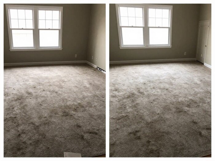 Freshly cleaned carpet in a Lake Geneva living room with bright windows and neutral walls.