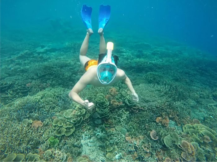 Nikmati Wisata Karimunjawa Tanpa Ribet dengan Nautika