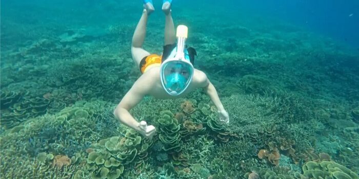 paket-kariumunjawa-hemat-4