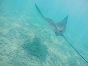 Marine Corps Base Hawaii beaches