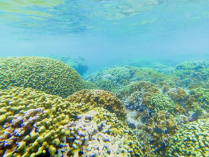 Marine Corps Base Hawaii beaches